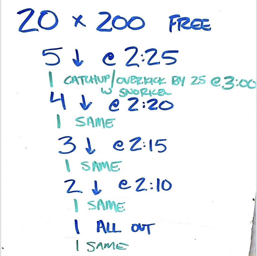 Lotta 200s – The Swimming Wizard